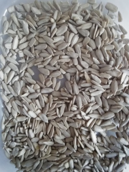 Kuchařka semínka slunečnicová