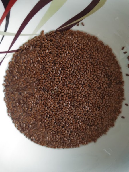 Kuchařka semínka lněná