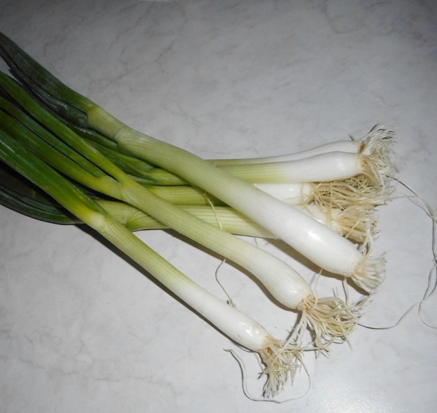 Kuchařka cibulka jarní