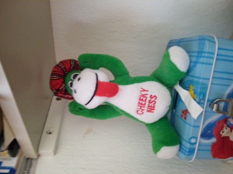 Kuchařka Danova kuchařka