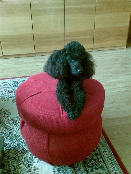 Kuchařka Domácí pečení: Klasické a originální recepty