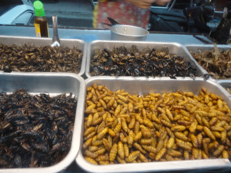 Domácí kuchařka: Kreativní recepty s brambory, masem a chilli