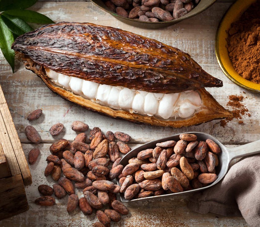 Kuchařka Fildovi recepty