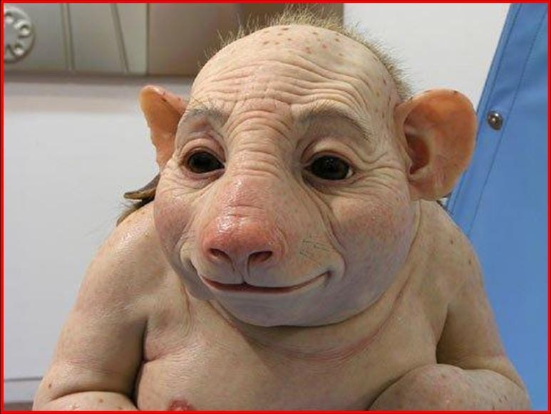 Kuchařka Lubošova kuchařka