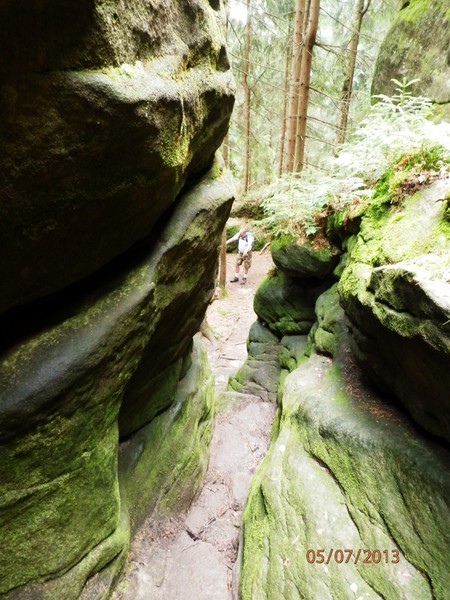 Zeleninová a vegetariánská kuchařka