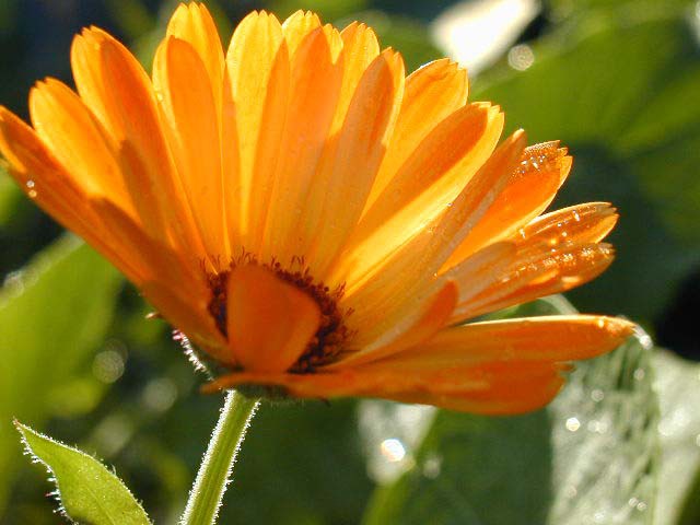 Kuchařka Moje první kuchařka