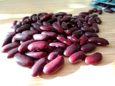 Moje kuchařka  fazole