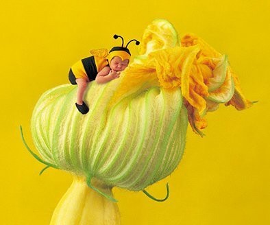 Kuchařka zacatecnik