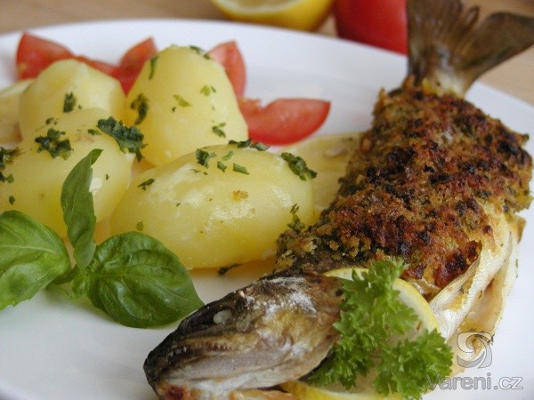 Nejlepší recepty ze pstruha