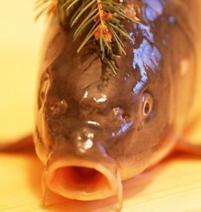 Nejlepší recepty na kapra