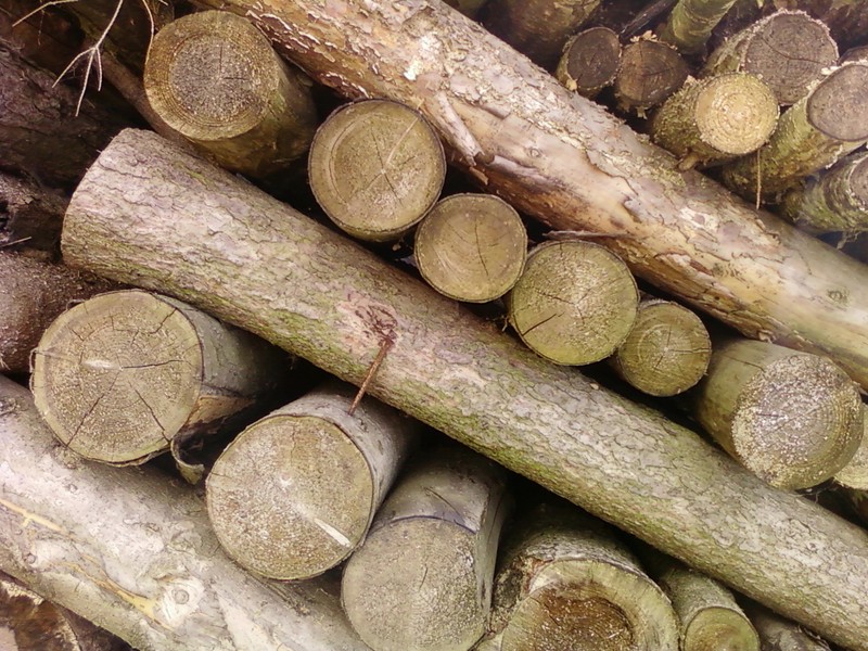 Mezinárodní kuchařka ve výstavbě