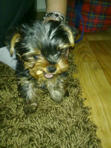 Majkyho domácí kuchařka