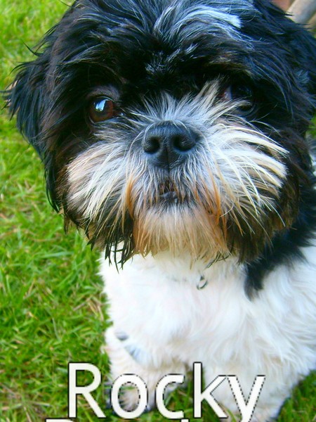 Grilování s lososem a těstoviny: Recepty pro lahodné pokrmy na grilu a italské těstoviny