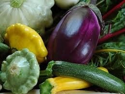 Cuketa + Dýně + Lilek