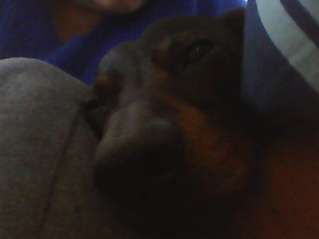 s chuti do toho