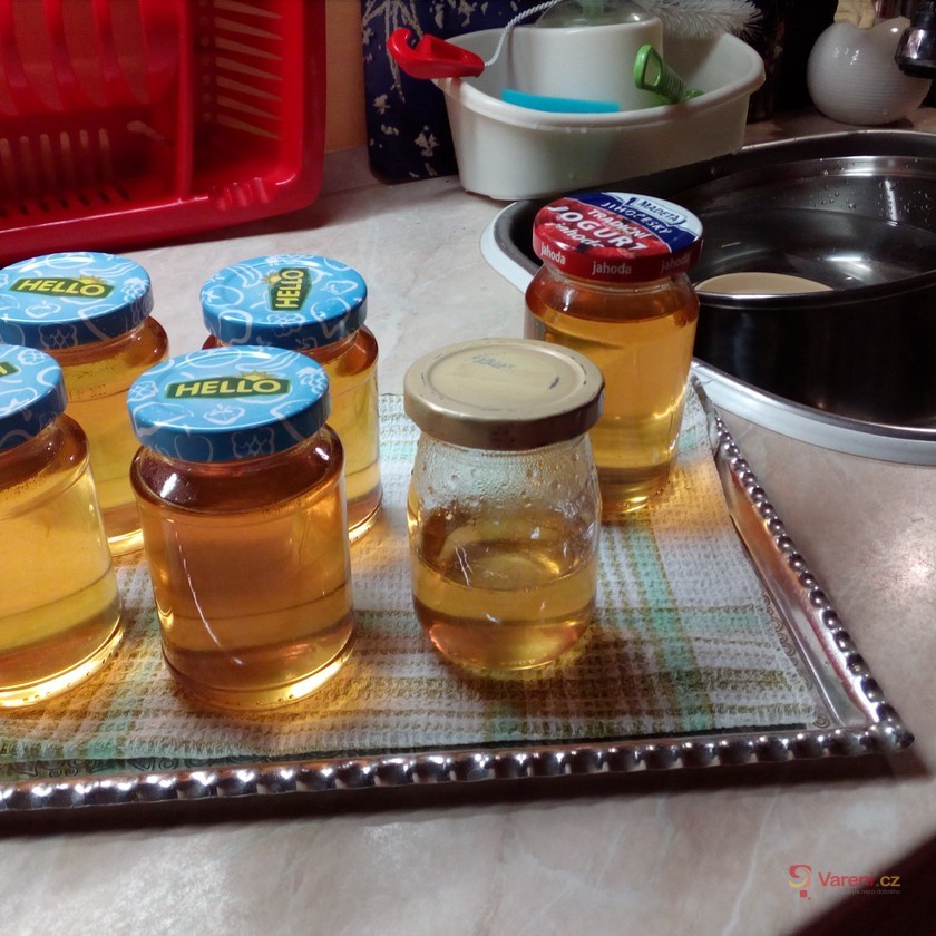 Kuchařka Sirupy a šťávy z ovoce a bylinek