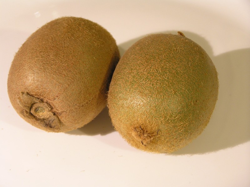 kiwi