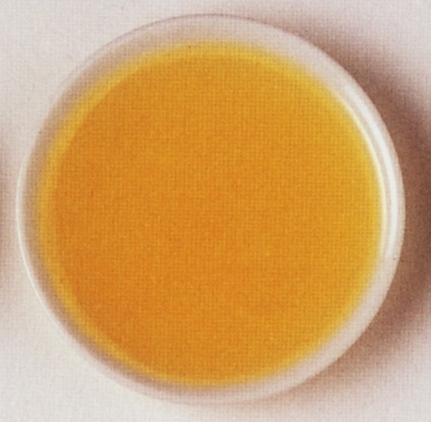 kukuřičný olej