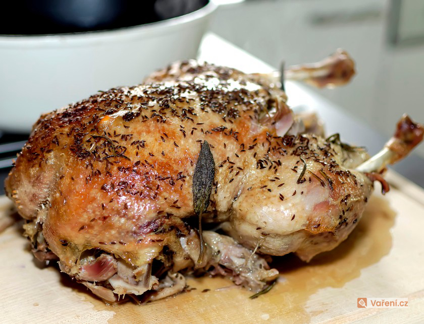 Mladá husa s kaštanovou nádivkou