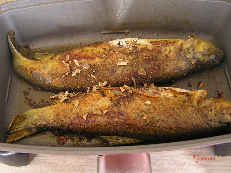 Pstruh na houbách - fotografie 2