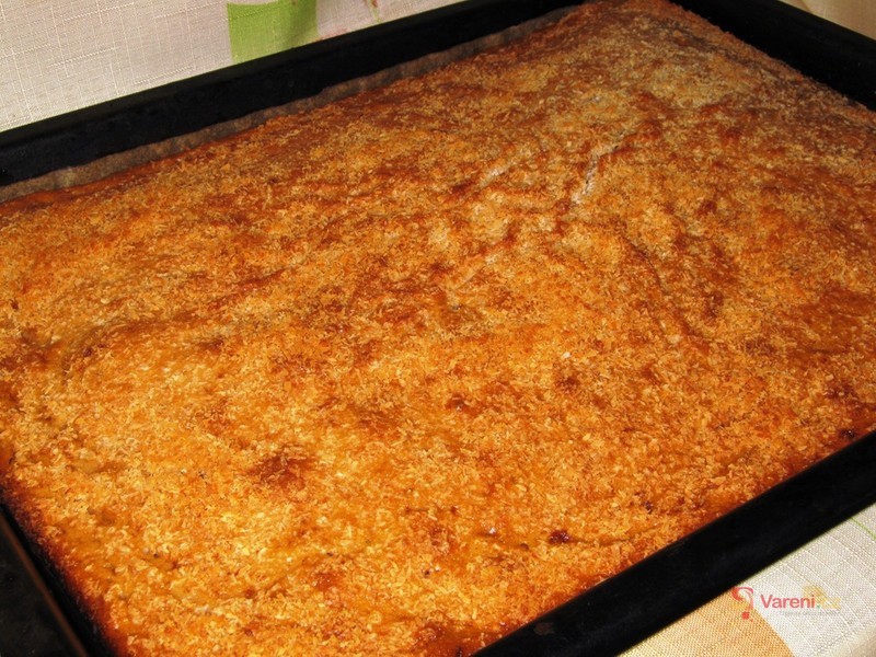 Hrníčková Margot s kokosem - fotografie 2