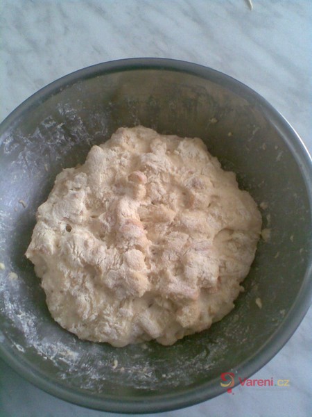Kynutý houskový knedlík - fotografie 4