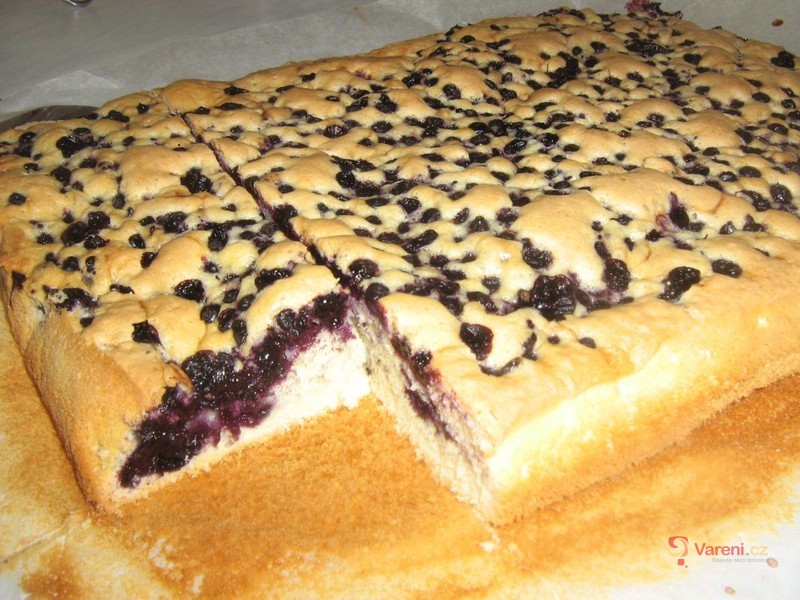 Bublanina s rybízem - fotografie 2