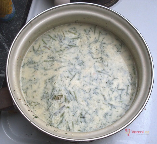 Koprová polévka jako od maminky - fotografie 4