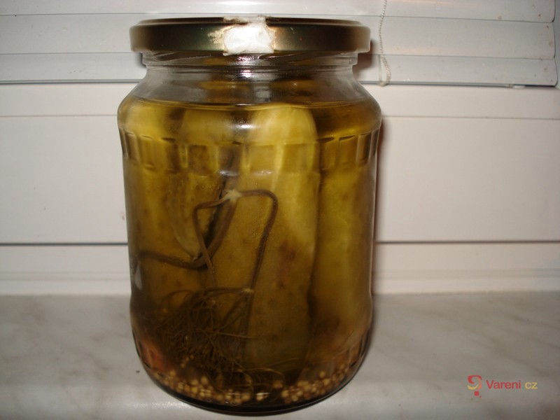 Nálev na okurky s křenem - fotografie 2