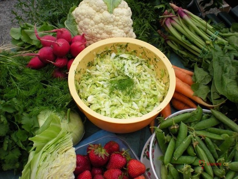 Křehký zelný salát od Jindřišky