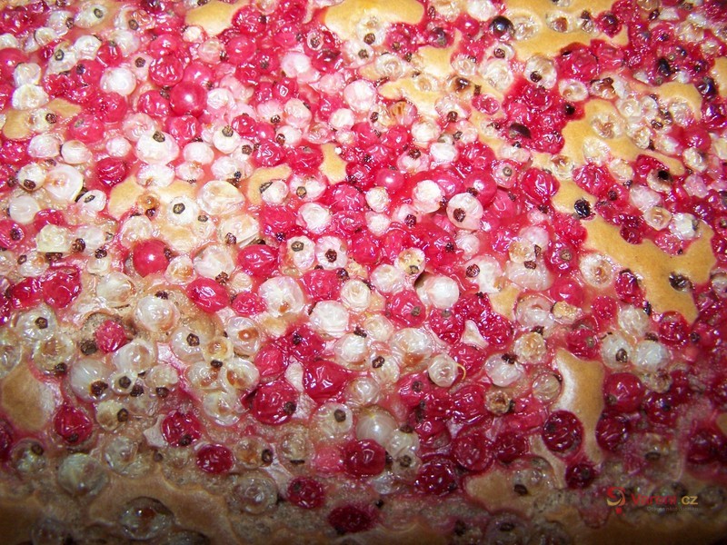Rybízový koláč - fotografie 2