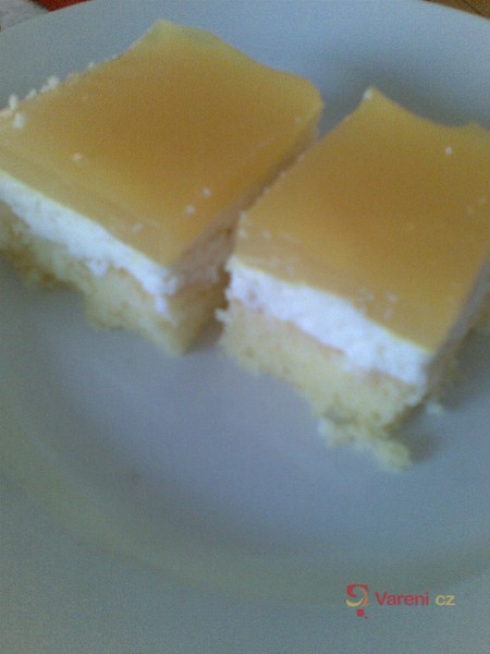 Tvarohový řez s pudinkem - fotografie 5