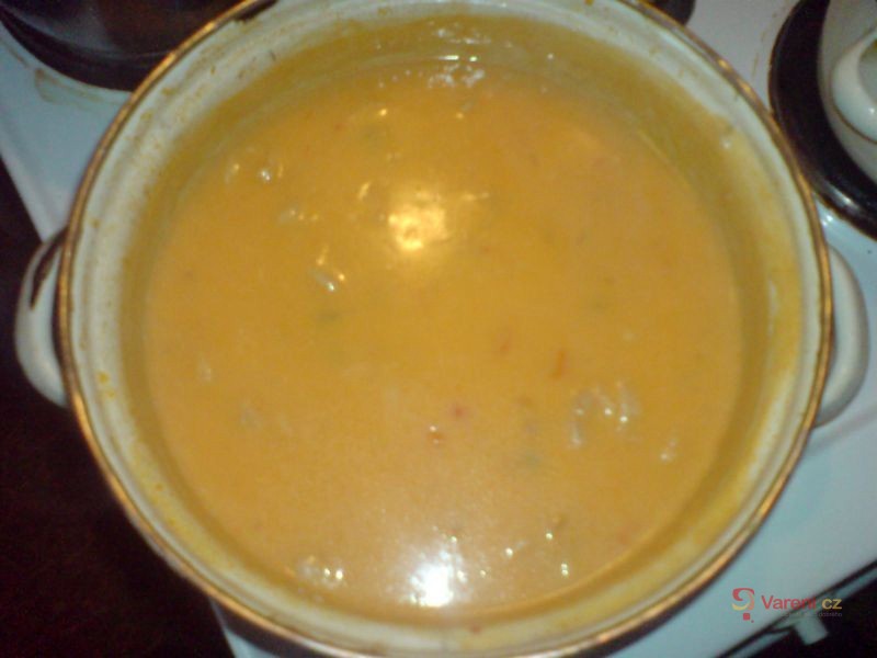 Bratislavské plecko - fotografie 5