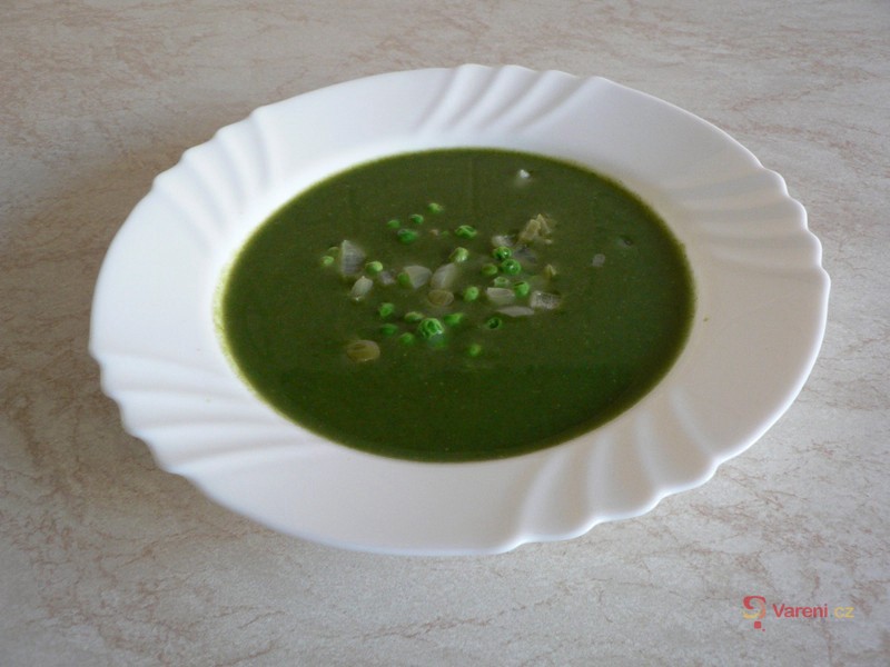 Rakouská zelená polévka - fotografie 2
