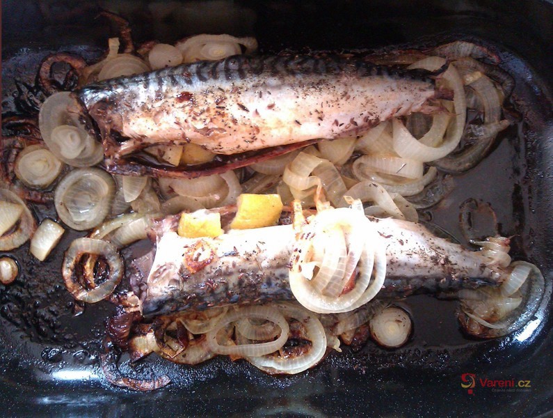 Makrely pečené na cibuli - fotografie 4