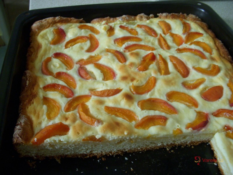 Meruňkový tvarohový koláč - fotografie 3