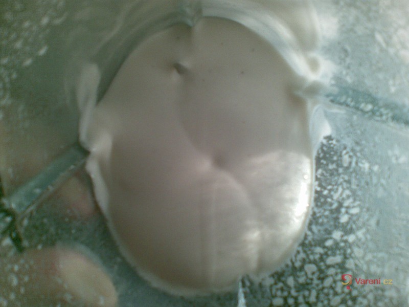 Rychlá domácí majonéza - fotografie 3