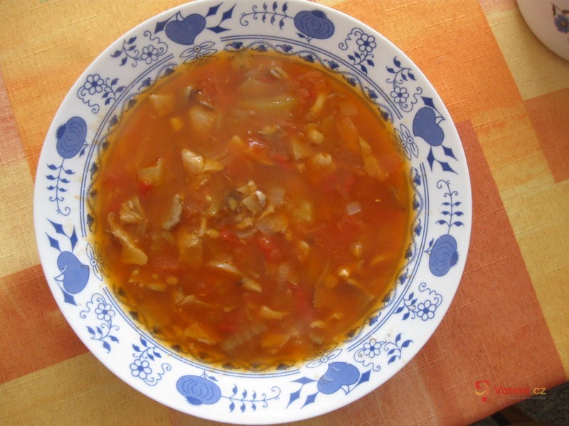 Hlívovka - fotografie 2