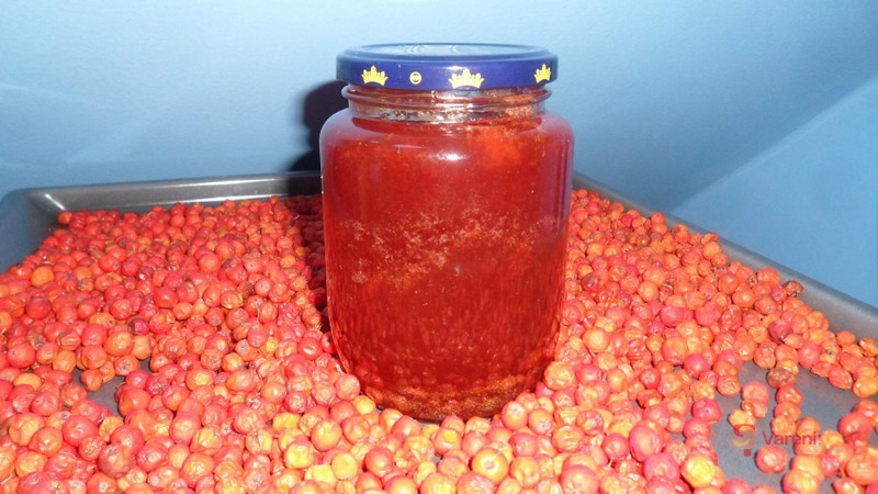Želé z jeřabin - fotografie 2