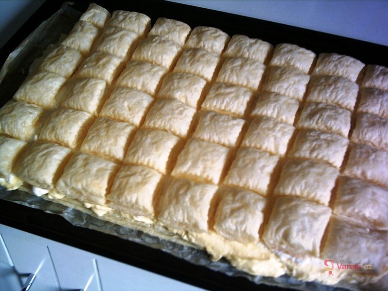 Lístkové kremeše - fotografie 5