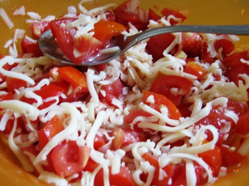 Salát rajče-cibule-sýr
