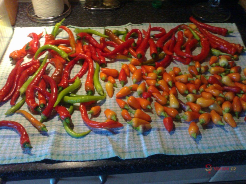 Jednoduchý nálev na okurky - fotografie 3