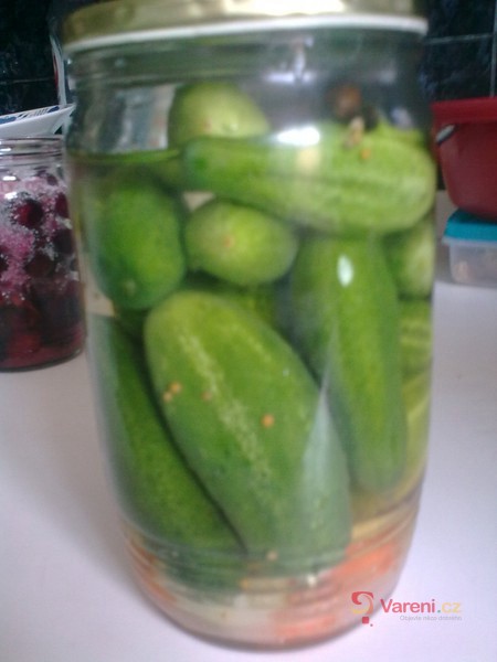 Lenčiny sterilované okurky - fotografie 2