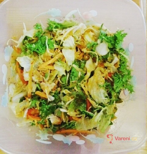 Zeleninový salát s kuřecím masem a dresinkem