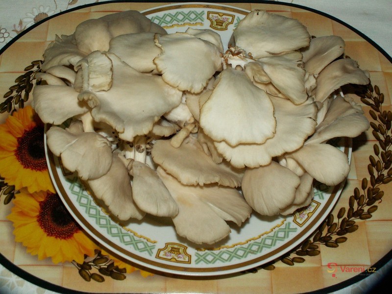 "Dršťková" polévka z hlívy - fotografie 3