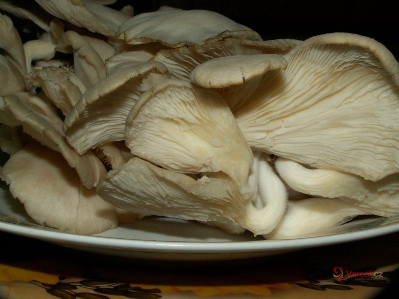 "Dršťková" polévka z hlívy - fotografie 4