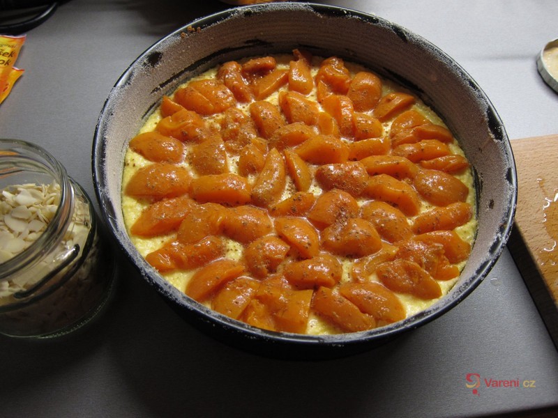 Rychlý meruňkový koláč s kokosem - fotografie 4