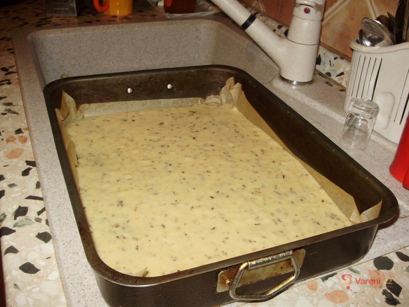 Margot buchta - fotografie 4