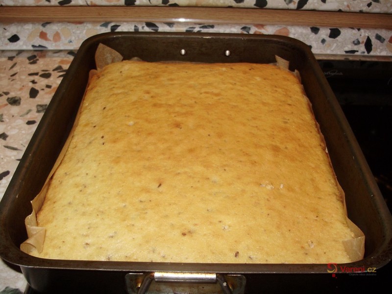 Margot buchta - fotografie 3