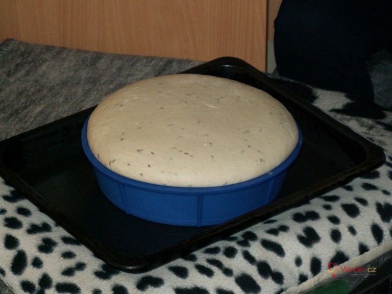 Dobrý domácí chléb - fotografie 5